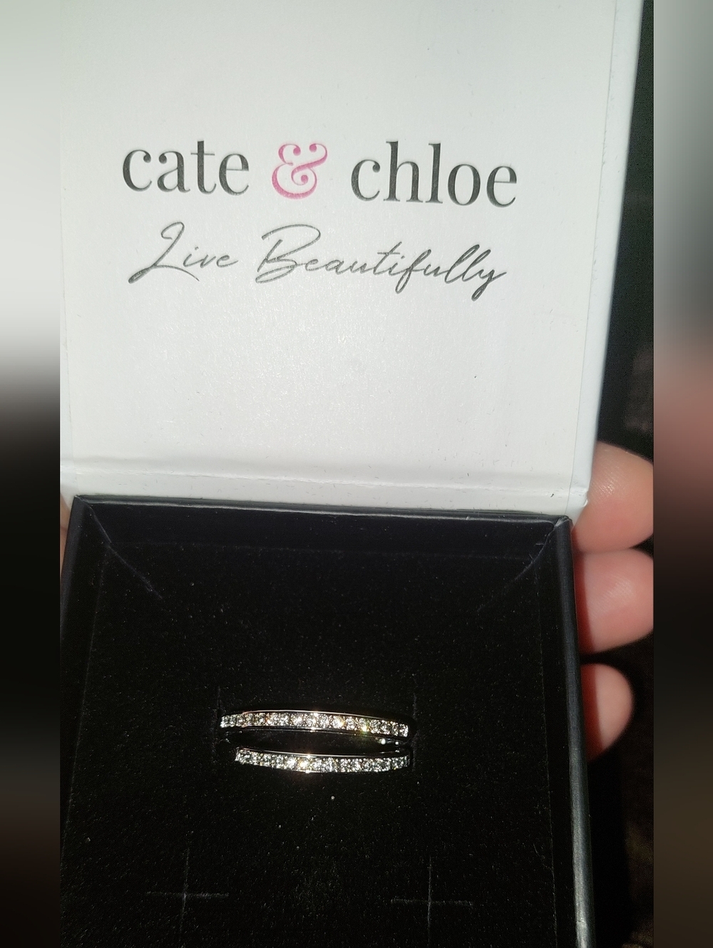 Silver Cate & Chloe Hoop Earrings. Nwt. Smoke Free Home